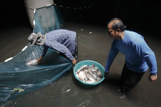 Workers collect fish inside an abandoned department store in Bangkok January 13, 2015. (Photo by Chaiwat Subprasom/Reuters)