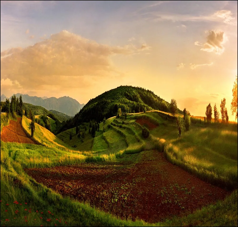 Amazing Photo by Katarina Stefanovic