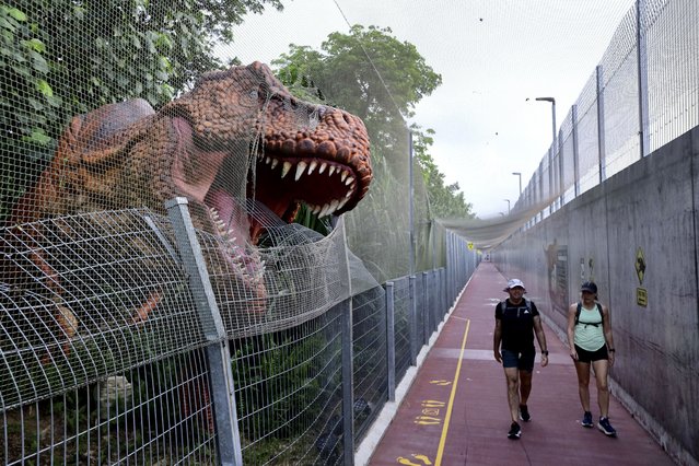 People walk past past a life size dinosaur replica along the Changi Jurassic Mile in Singapore, Sunday, September 8, 2024. (Photo by Suhaimi Abdullah/AP Photo)