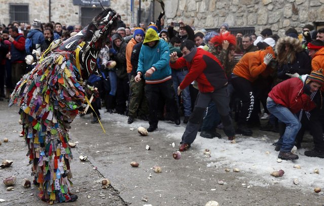 Revellers throw turnips at the Jarramplas as he makes his way through the streets while beating his drum during the Jarramplas traditional festival in Piornal, southwestern Spain, January 20, 2015. (Photo by Sergio Perez/Reuters)