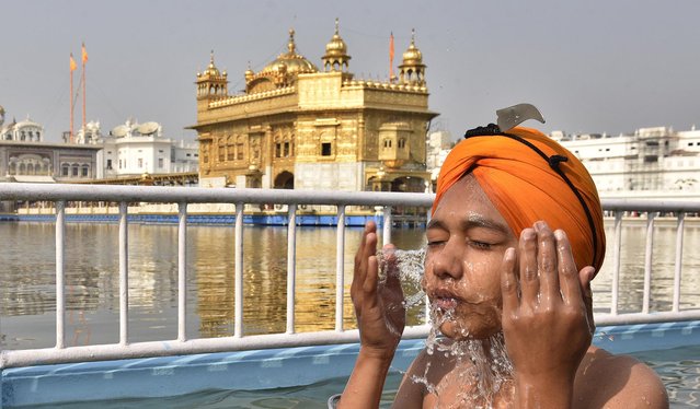 Sikh devotees taking dip in a holy Sarovar, pay obeisance at the Golden Temple on the occasion of the 547th Birth Anniversary of Guru Nanak Dev Ji on November 14, 2016 in Amritsar, India. (Photo by Gurpreet Singh/Hindustan Times via Getty Images)
