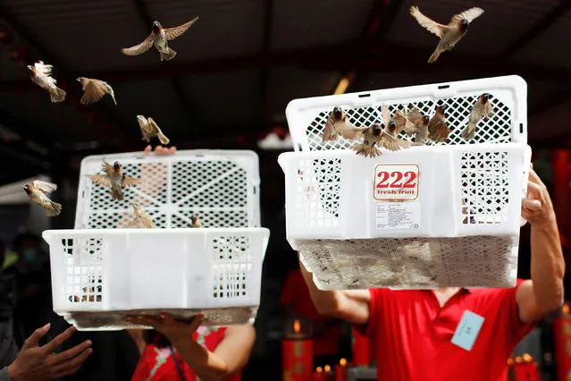 Worshippers release birds for good luck during Chinese Lunar New Year celebrations at the Dharma Bhakti temple, amid the coronavirus disease (COVID-19) outbreak, in Jakarta, Indonesia, February 12, 2021. (Photo by Willy Kurniawan/Reuters)