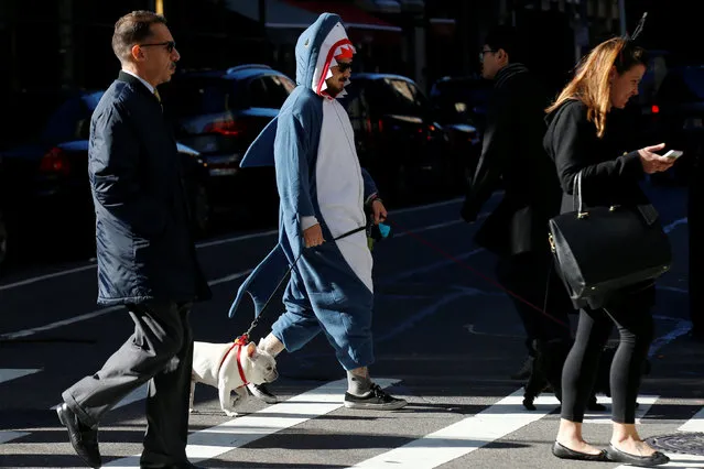 A man dressed as a shark walks his dogs on Halloween in lower Manhattan in New York City, U.S., October 31, 2016. (Photo by Brendan McDermid/Reuters)