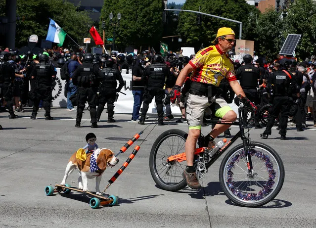 A cyclist pulls a dog on a skateboard between rightwing supporters of the Patriot Prayer group and counter-demonstrators during a rally in Portland, Ore., August  4, 2018. (Photo by Jim Urquhart/Reuters)