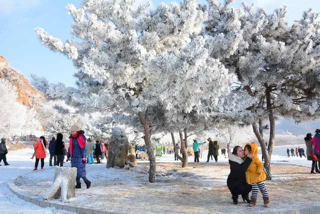Tourists come to look at the rime scenery on an island along the Songhua River on January 10, 2016 in Jilin City, Jilin Province of China. The first rime in 2016 attracted visitors in Jilin. (Photo by ChinaFotoPress/ChinaFotoPress via Getty Images)