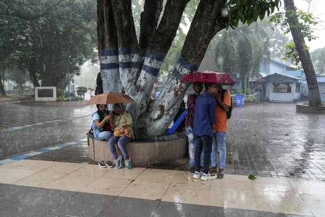 People take shelter under a tree holding umbrellas during monsoon rains in Kolkata, India, Tuesday, August 29, 2023. (Photo by Bikas Das/AP Photo)