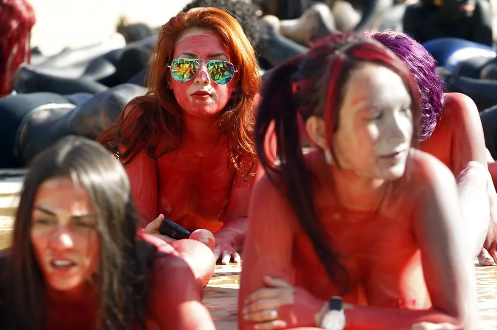 The Week in Pictures: February 21 – February 28, 2015, Part 2/3