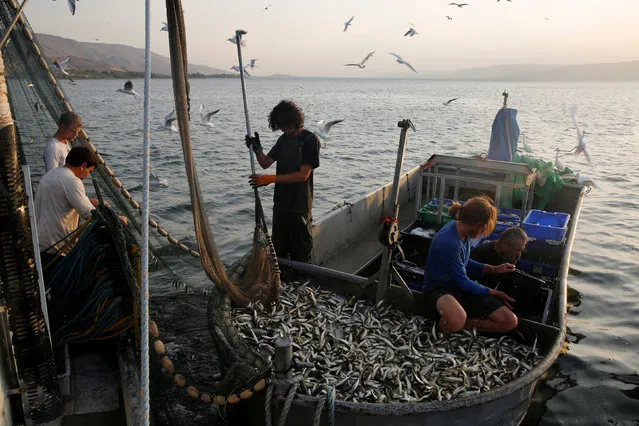 Employees work on a fishing boat in the Sea of Galilee, northern Israel November 20, 2016. (Photo by Ronen Zvulun/Reuters)
