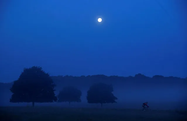A cyclist rides before dawn with the moon behind in Richmond Park in west London, Britain, September 26, 2018. (Photo by Toby Melville/Reuters)