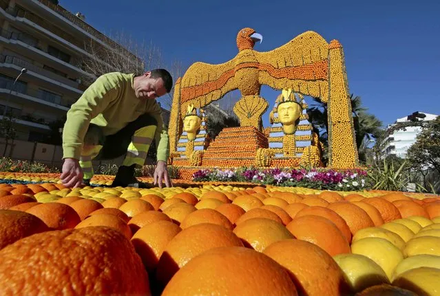 A worker puts the final touch to a replica of a giant eagle and pharaons made with lemons and oranges which shows a scene of the movie “Cleopatra” during the Lemon festival in Menton, southern France, February 10, 2016. (Photo by Eric Gaillard/Reuters)