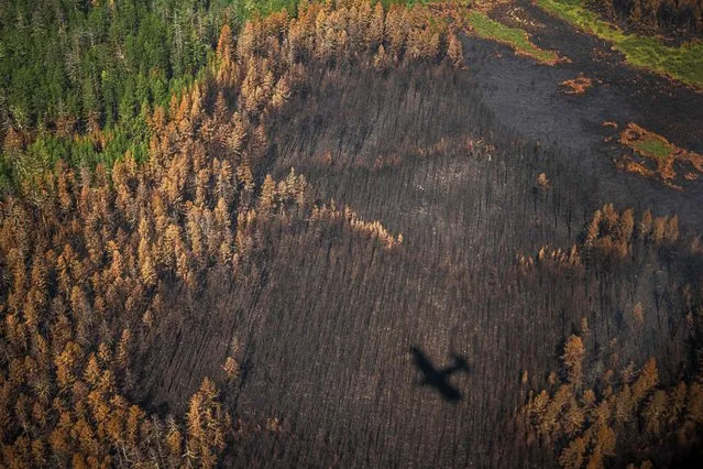This aerial picture taken on July 27, 2021, shows the shadow of an aircraft of the Air Forest Protection Service flying over a burned forest in the republic of Sakha outside the village of Berdigestyakh, in the republic of Sakha, Siberia. Russia is plagued by widespread forest fires, with the Sakha-Yakutia region in Siberia being the worst affected. According to many scientists, Russia -- especially its Siberian and Arctic regions – is among the countries most exposed to climate change. The country has set numerous records in recent years and in June 2020 registered 38 degrees Celsius (100.4 degrees Fahrenheit) in the town of Verkhoyansk – the highest temperature recorded above the Arctic circle since measurements began. (Photo by Dimitar Dilkoff/AFP Photo)
