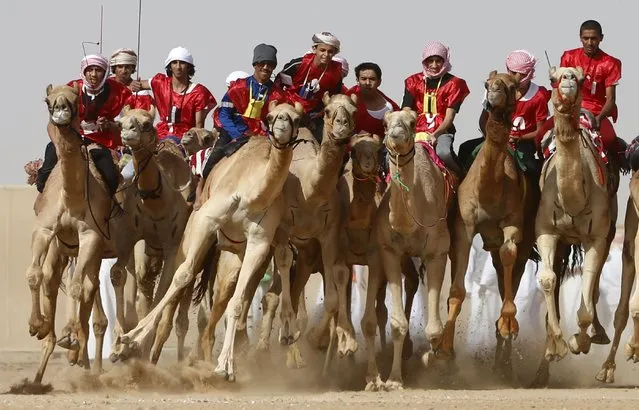 Jockeys compete in a camel race during the Sheikh Sultan Bin Zayed al-Nahyan herithe festival, held at the Shweihan racecourse in Al-Ain, on the outskirts of Abu Dhabi, on February 12, 2016. The festival includes a camel beauty contest, a traditional souq, a camel auction, and competitions for traditional handicrafts. (Photo by Karim Sahib/AFP Photo)
