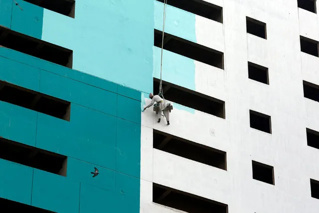 A bird flies past a labourer, suspended with a rope, as he paints a newly constructed building in Karachi, Pakistan January 17, 2017. (Photo by Akhtar Soomro/Reuters)
