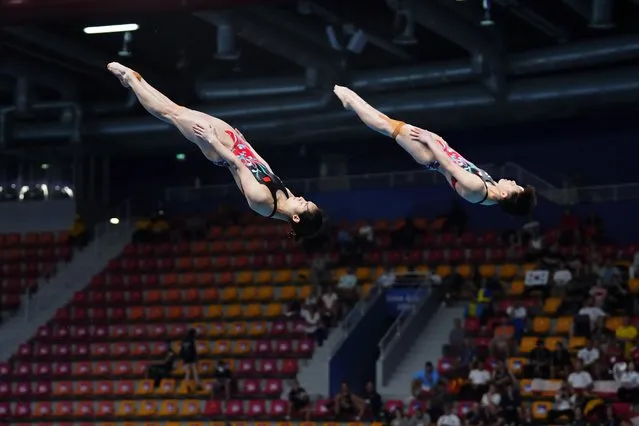 Yani Chang and Yiwen Chen of China compete during the women's synchronized 3m springboard diving final at the World Aquatics Championships in Doha, Qatar, Wednesday, February 7, 2024. (Photo by Hassan Ammar/AP Photo)