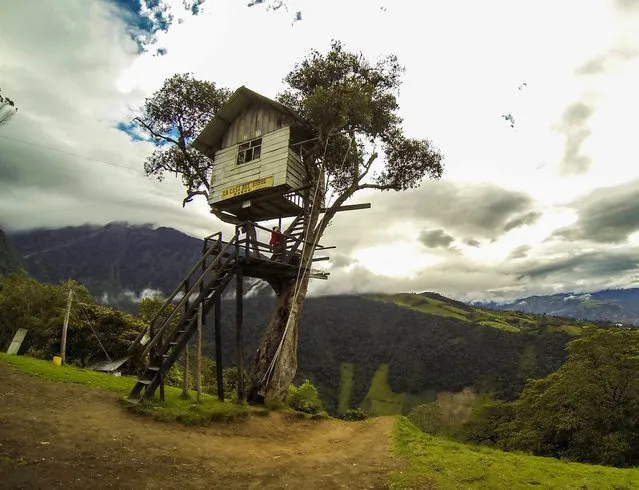 The Crazy Swing At Casa Del Arbol in Ecuador