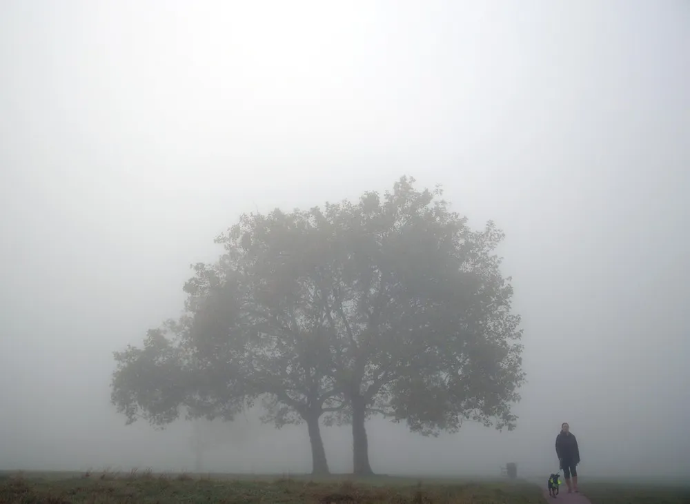 Some Photos: Foggy Day