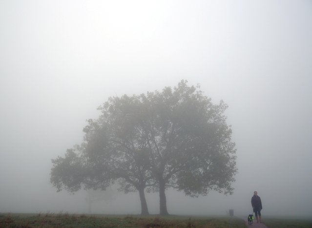 A woman walks with a dog through thick fog on Streatham Common in London, Britain, October 9, 2021. (Photo by Hannah McKay/Reuters)