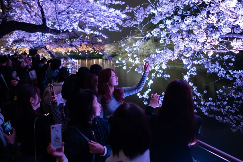 A Look at Life in Japan