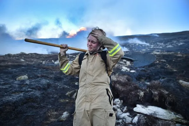 An exhausted Haley Agnew wipes sweat from her brow as she works with fellow firefighters on Slieve Donard mountain on April 24, 2021 in Newcastle, Northern Ireland. The Northern Ireland Fire and Rescue Service have been tackling the moorland and gorse fire on the slopes of Slieve Donard since Friday and have now declared the blaze a major incident. Police have urged members of the public to stay away from the area as firefighters assisted by helicopters from the Irish Air Corp continue to tackle the fire. (Photo by Charles McQuillan/Getty Images)