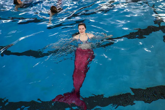Women practice swimming with mermaid tails at AquaMermaid swimming school, a mermaid training school in Chicago, United States on March 19, 2017. (Photo by Bilgin S. Amaz/Anadolu Agency/Getty Images)