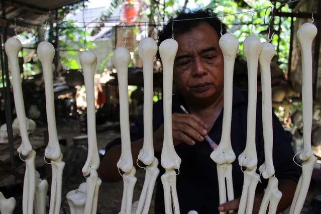 A craftsman works on making props bones of the human body on April 23, 2014 in Depok, West Java, Indonesia. The mannequins are made from fiberglass and will be used in schools, hospitals and laboratories. (Photo by Nurcholis Anhari Lubis/Getty Images)