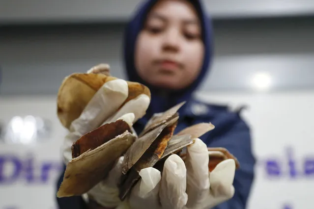 A Malaysian Customs official holds seized pangolin scales after a press conference at its office in Sepang, Malaysia, Monday, May 8, 2017. Malaysian authorities said they have seized pangolin scales worth 9.2 million ringgit ($2.1 million) and believed to have been smuggled from Africa. (Photo by Vincent Thian/AP Photo)