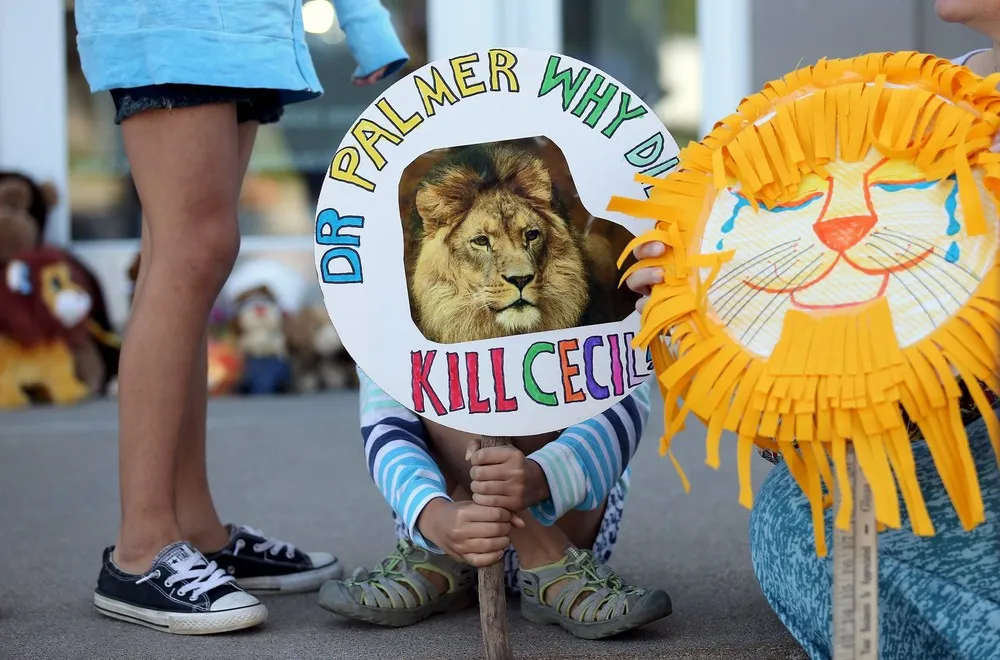 Cecil the Lion's Killer Revealed as American Dentist