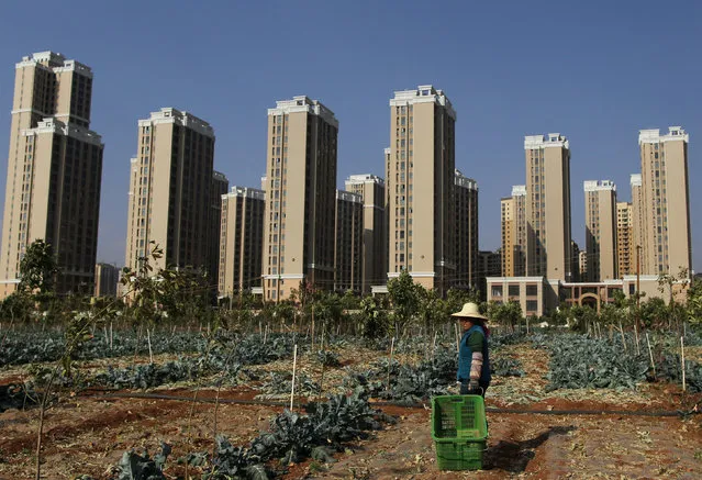 A woman farms in front of a residential compound in Chenggong District of Kunming, Yunnan province, April 14, 2016. The Chinese characters on the boards read “already sold out”. (Photo by Wong Campion/Reuters)