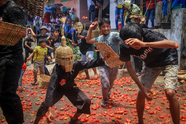 Residents of Cikareumbi village, Lembang, Indonesia take part in the tomato war event on October 13, 2019, a tradition of getting rid of rotten tomatoes after low valued yields. All tomatoes thrown as “bullets” are collected again to be used as compost and vegetable fertilisers. (Photo by Algi Febri Sugita/SOPA Images/Rex Features/Shutterstock)