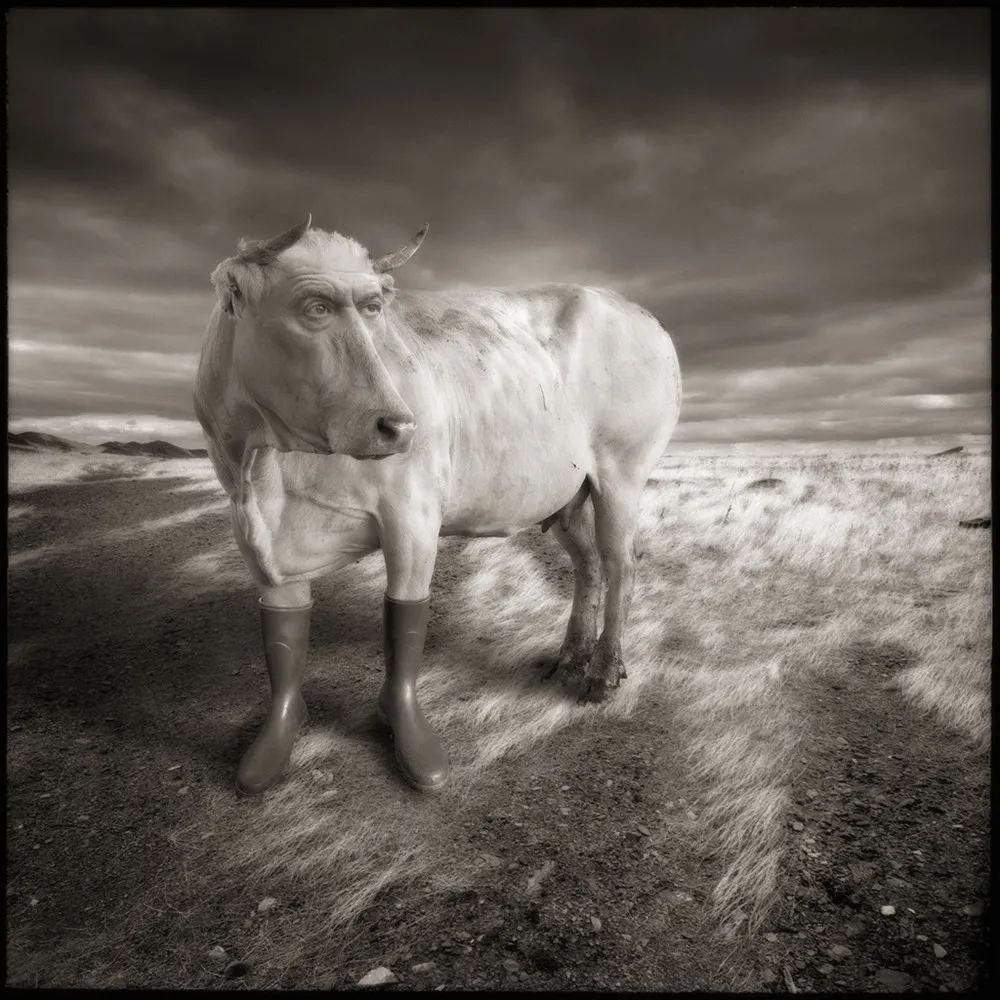 Photo Art by Yves Lecoq