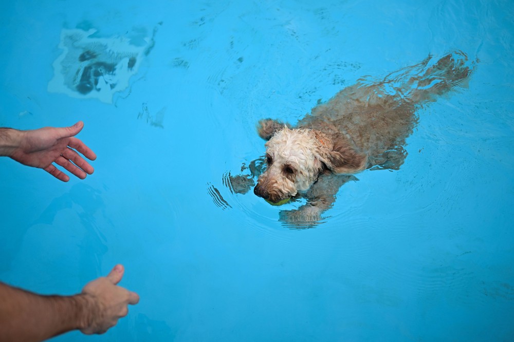 Pictures of the Year 2023, Part 161/224