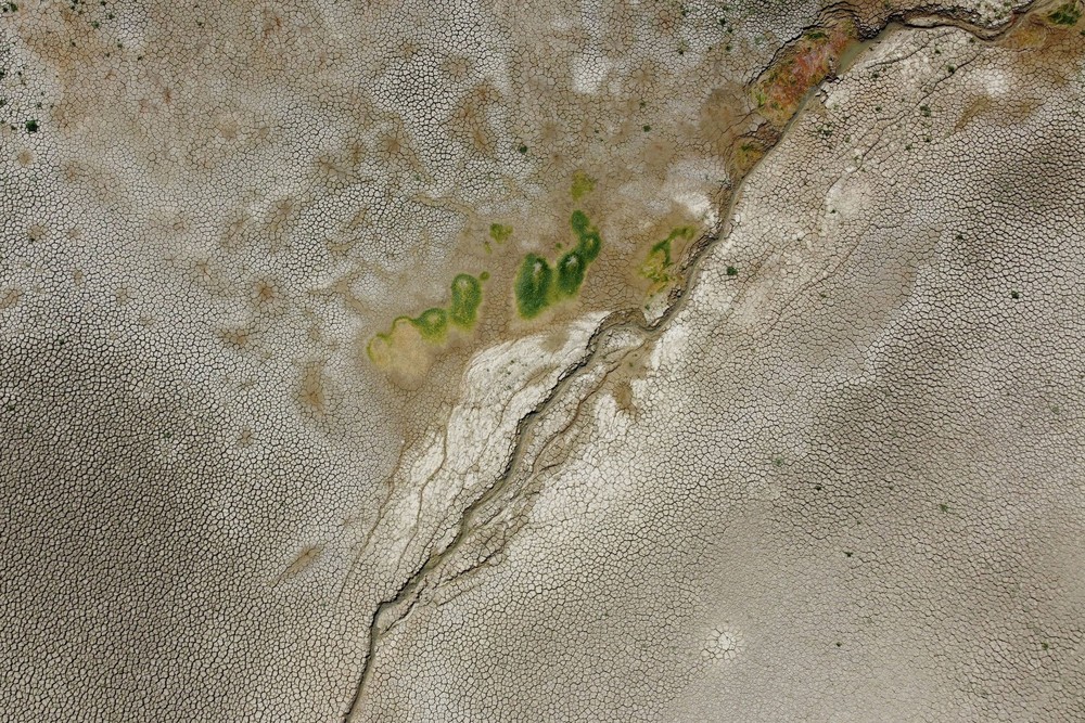 Some Photos: Ecology