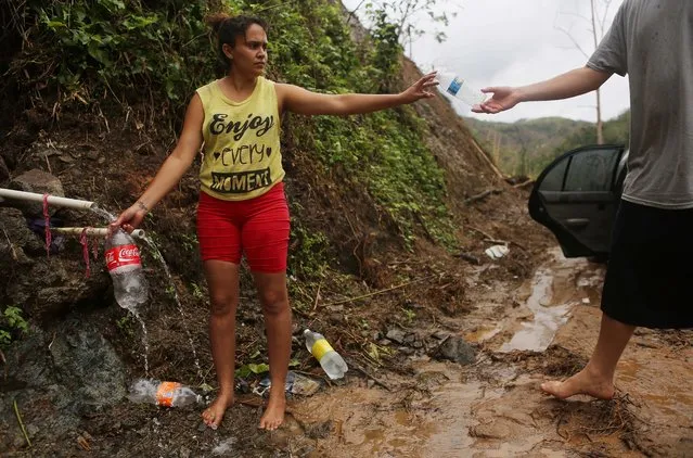 Yanira Rios collects spring water for her house nearly three weeks after Hurricane Maria hit the island, on October 10, 2017 in Utuado, Puerto Rico. Her house and most of the municipality is without running water or grid power. Only 16 percent of Puerto Rico's grid electricity has been restored. Puerto Rico experienced widespread damage including most of the electrical, gas and water grid as well as agriculture after Hurricane Maria, a category 4 hurricane, swept through. (Photo by Mario Tama/Getty Images)
