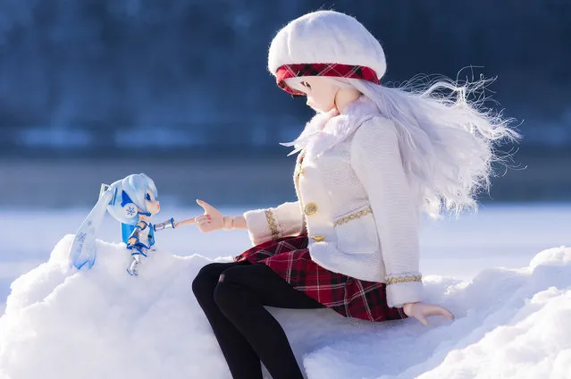 Contact. Model: DollfieDream DDH-06 and Nendroid Snow Miku