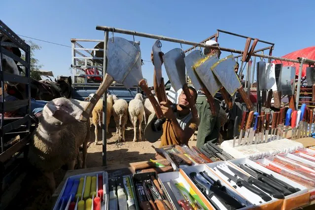 A Palestinian vendor displays knives and choppers at a makeshift livestock market ahead of the Eid al-Adha festival in Deir El-Balah in the central Gaza Strip September 22, 2015. (Photo by Ibraheem Abu Mustafa/Reuters)