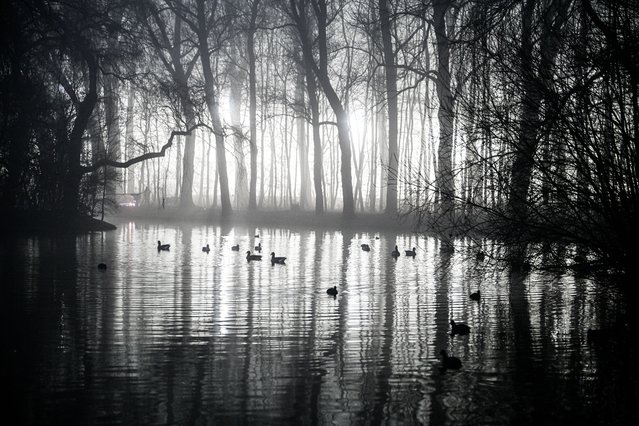 A general view from the city following KNMI has issued another code yellow warning for dense fog across central and western provinces, causing ongoing accidents and multiple flight cancellations, in Rotterdam, Netherlands on January 21, 2025. The affected areas include Zeeland, South Holland, North Holland, Utrecht, North Brabant, Gelderland, and Flevoland, with visibility dropping below 200 meters. The fog, which has disrupted daily life for several days, is expected to clear by Wednesday as wind directions shift, bringing milder and warmer weather, according to Weeronline. (Photo by Mouneb Taim/Anadolu via Getty Images)