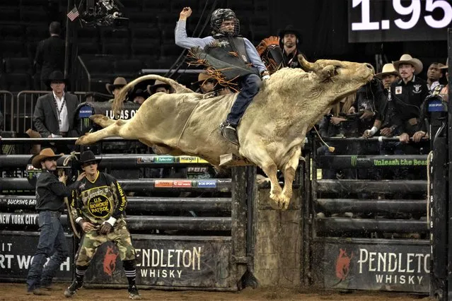 A bull rider competes during the first round of the PBR Unleash The Beast Monster Energy Buck Off at Madison Square Garden on January 6, 2023 in New York. (Photo by Yuki Iwamura/AFP Photo)