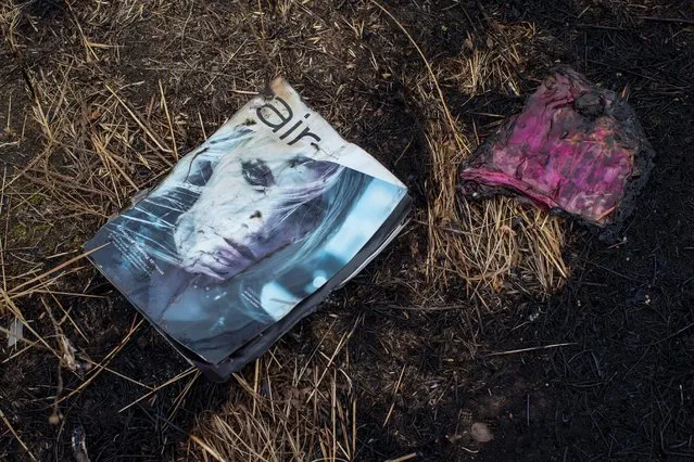 An 'Air' magazine is pictured at the site where the downed Malaysia Airlines flight MH17 crashed, near the village of Hrabove (Grabovo) in Donetsk region, eastern Ukraine September 9, 2014. (Photo by Marko Djurica/Reuters)