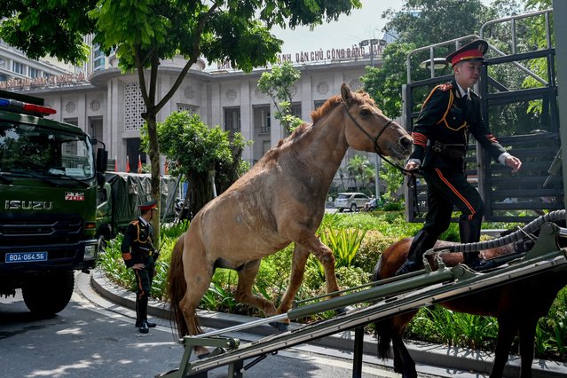 A police officer leads a small horse onto a truck in Hanoi on August 8, 2025. (Photo by Nhac Nguyen/AFP Photo)