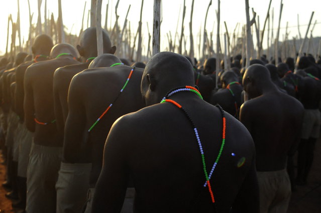 Initiates gather in a group as they return home after undergoing the koma rite of passage in Moletjie, Limpopo province, on July 19, 2025. The traditional practice, which includes circumcision for boys and men, is a key event on the region's cultural calendar. Girls also take part in separate initiation programmes focused on preparing them for womanhood. Since June, 529 initiation schools have been registered in Limpopo, with more than 25,000 initiates. Officials say the province recorded the lowest fatality rate in the country this season, with two deaths linked to medical conditions, including epilepsy. (Photo by Lucas Ledwaba/AFP Photo)