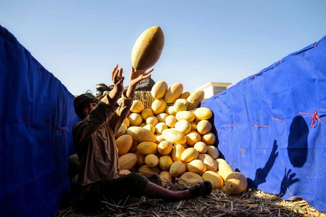 An Afghan vendor unloads melons from a truck at a market in Kandahar on June 22, 2025. (Photo by Sanaullah Seiam/AFP Photo)