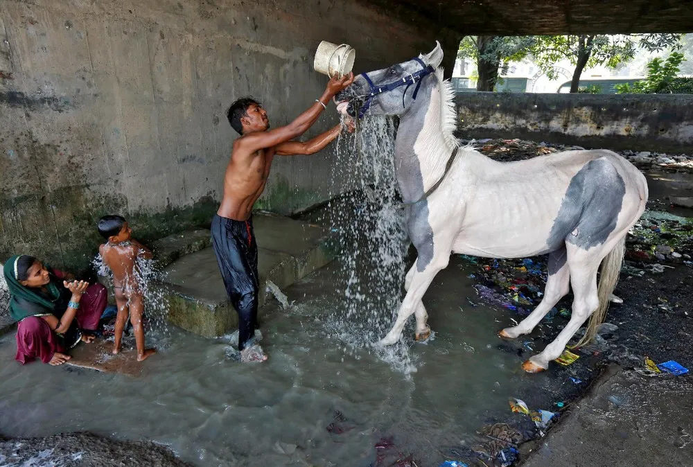 A Look at Life in India