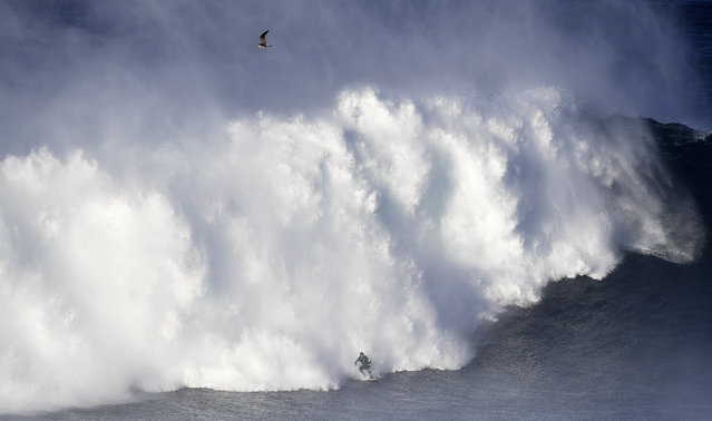 A surfer rides a wave off Praia do Norte (North Beach) near Nazare, central Portugal on October 24, 2016. (Photo by Francisco Leong/AFP Photo)