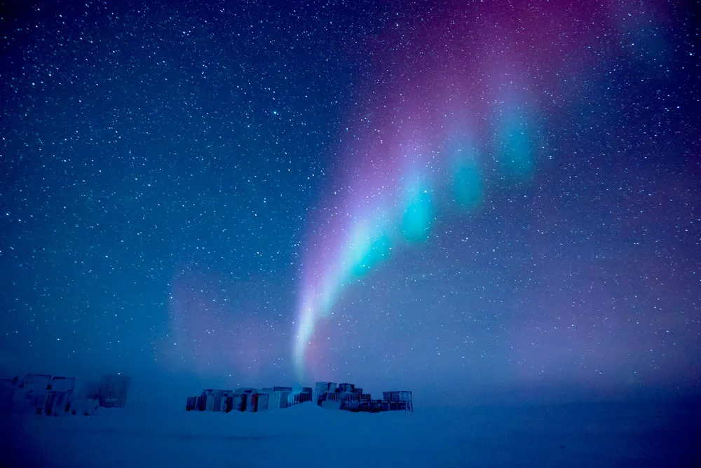 World's Largest Marine Park Created in Antarctic Ocean