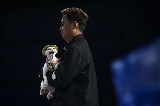 A model walks the runway with a cat during a pet fashion show in Shanghai on October 31, 2025. (Photo by Jade Gao/AFP Photo)