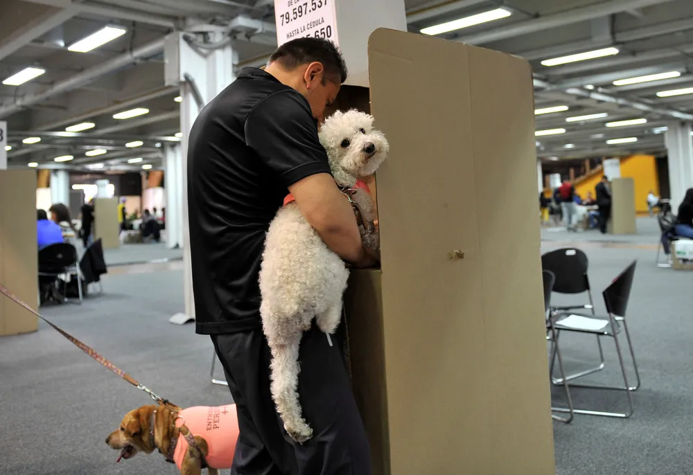 The Day in Photos – June 20, 2018