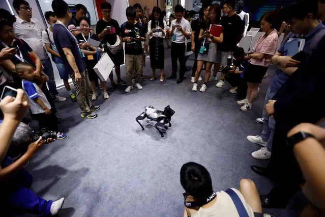 Visitors watch a robot dog Cyberdog developed by Xiaomi at the Beijing World Robot Conference (WRC) 2023 in Beijing, China on August 17, 2023. (Photo by Tingshu Wang/Reuters)
