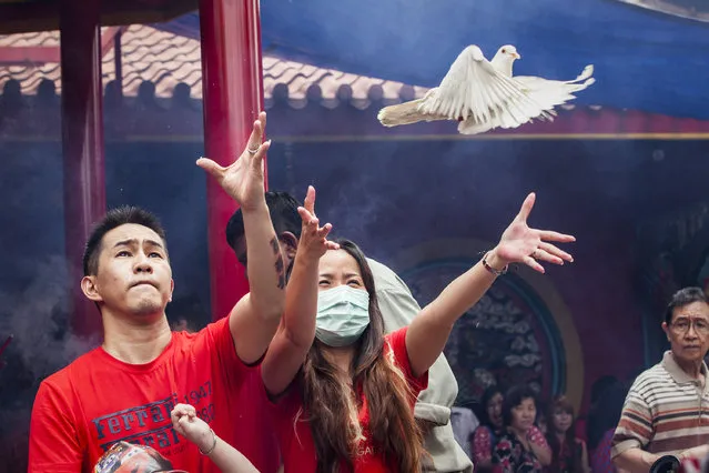 Indonesian Chinese  release pigeaon as part of pray during Chinese New Year celebrations at  Dharma Bhakti Temple on February 19, 2015 in Jakarta, Indonesia. The Chinese Lunar New Year of the Sheep also known as the Spring Festival, is based on the Lunisolar Chinese calendar, and is celebrated from the first day of the first month of the lunar year and ends with a Lantern Festival on the Fifteenth day. (Photo by Oscar Siagian/Getty Images)