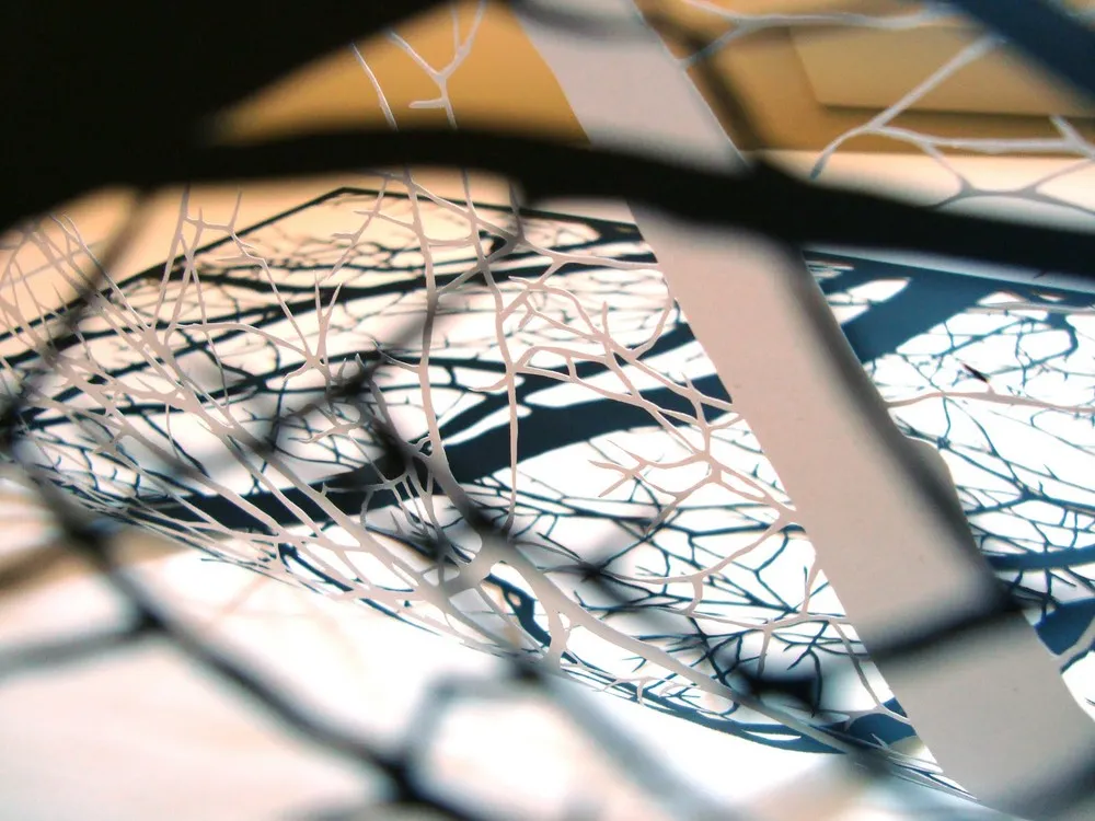 Papercuts by Joe Bagley