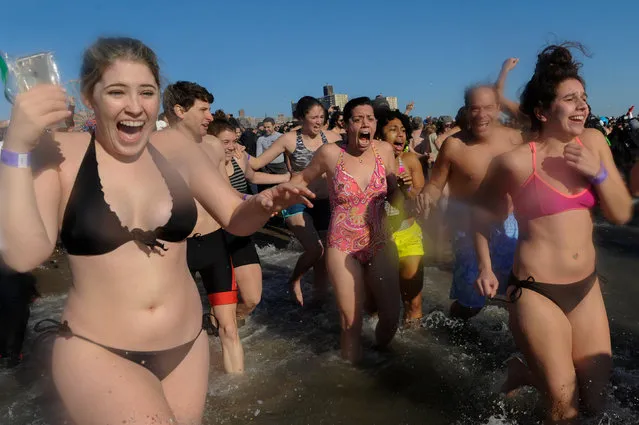 People participate in the annual Polar Bear Plunge in Coney Island in the Brooklyn Borough of New York City, U.S. January 1, 2017. (Photo by Stephanie Keith/Reuters)